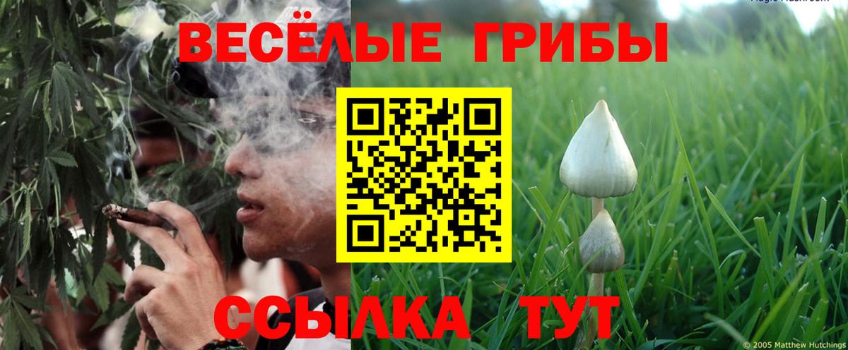 Псилоцибиновые грибы ЛСД  Вход с VPN  Валуйки 